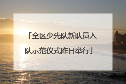 全区少先队新队员入队示范仪式昨日举行